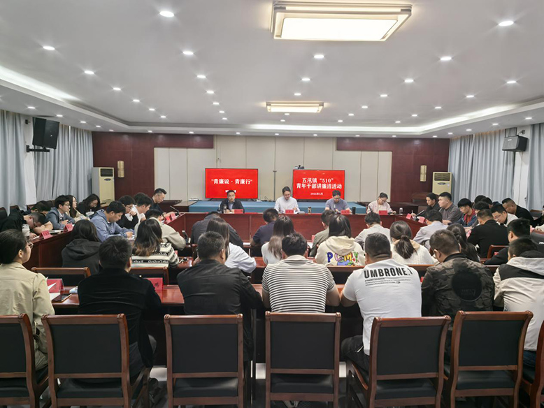 青春揚正氣 清廉伴我行——五汛鎮(zhèn)青年干部廉潔教育活動側(cè)記
