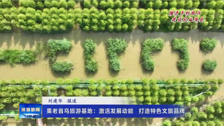 【推進(jìn)鄉(xiāng)村振興建設(shè)農(nóng)業(yè)強(qiáng)縣】果老首烏旅游基